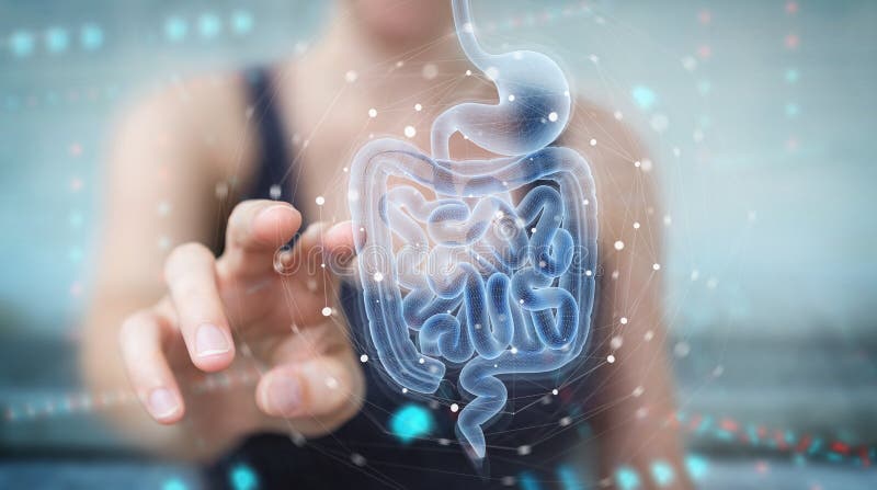 Woman on blurred background using digital x-ray of human intestine holographic scan projection 3D rendering. Woman on blurred background using digital x-ray of human intestine holographic scan projection 3D rendering