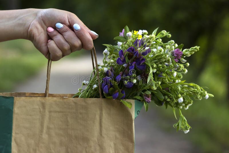 Vrouw met een papieren zak met een bouquet van zomerbloemen kamille, lupinen en klaver royalty-vrije stock foto's Vrouw met een papieren zak met een bouquet van zomerbloemen kamille, lupinen en klaver royalty-vrije stock foto's