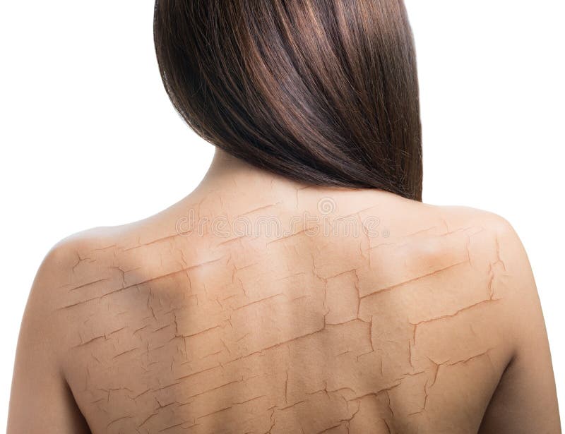 Vrouw van de rug. stock foto. Image of versheid, lichaam 39733890