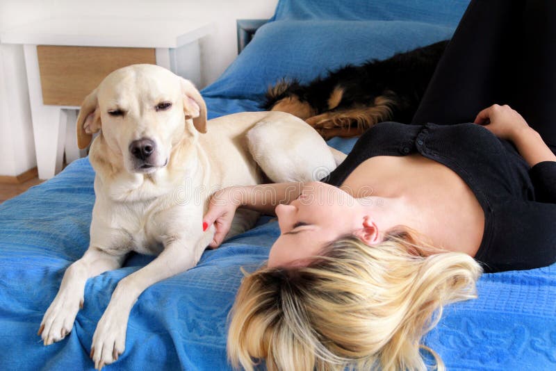 Vrouw met haar hond in bed die thuis, in slaapkamer ontspannen Het mooie meisje speelt, samen en petting met hond in bed stock foto Vrouw met haar hond in bed die thuis, in slaapkamer ontspannen Het mooie meisje speelt, samen en petting met hond in bed stock foto