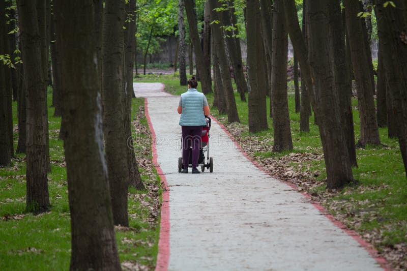 Vrouw met kinderwagen in park royalty-vrije stock afbeelding Vrouw met kinderwagen in park royalty-vrije stock afbeelding