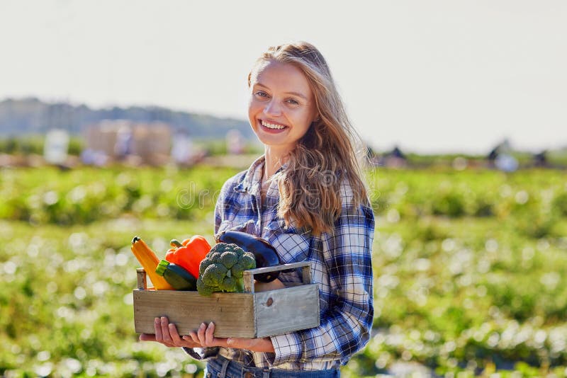 Vrouw met verse organische groenten van landbouwbedrijf stock fotografie Vrouw met verse organische groenten van landbouwbedrijf stock fotografie