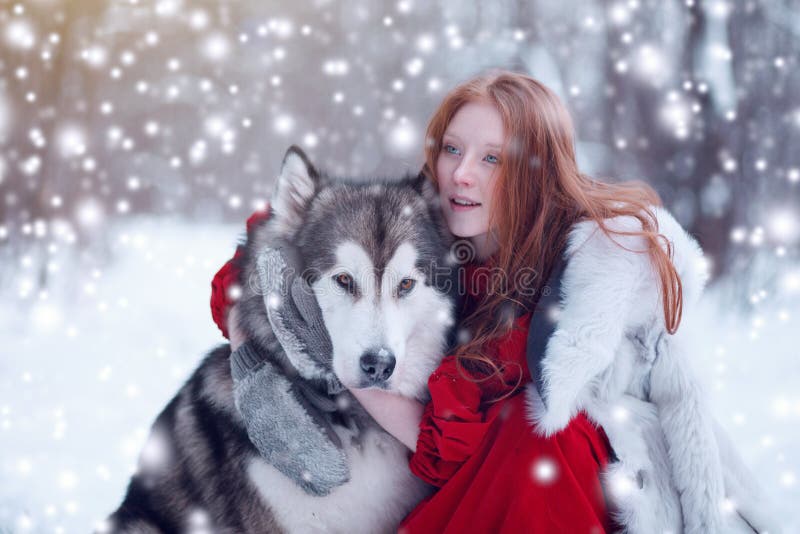Vrouw op rode kleding met honden Sprookjemeisje met Huskies of Malamute Kerstmis royalty-vrije stock foto's Vrouw op rode kleding met honden Sprookjemeisje met Huskies of Malamute Kerstmis royalty-vrije stock foto's