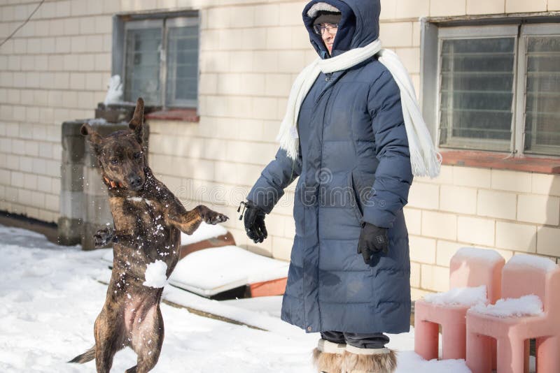 Vrouw in openlucht in sneeuw met hond royalty-vrije stock foto Vrouw in openlucht in sneeuw met hond royalty-vrije stock foto