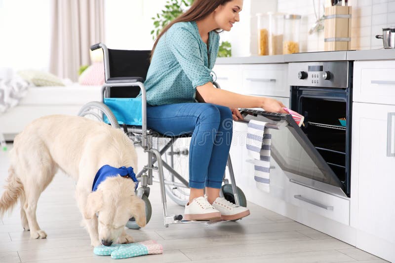 Vrouw in rolstoel het koken met de diensthond stock afbeelding Vrouw in rolstoel het koken met de diensthond stock afbeelding