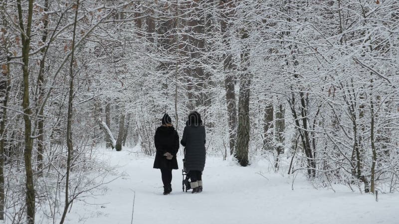 Vrouw twee die met kinderwagen in sneeuwpark lopen Jong Mammaportret