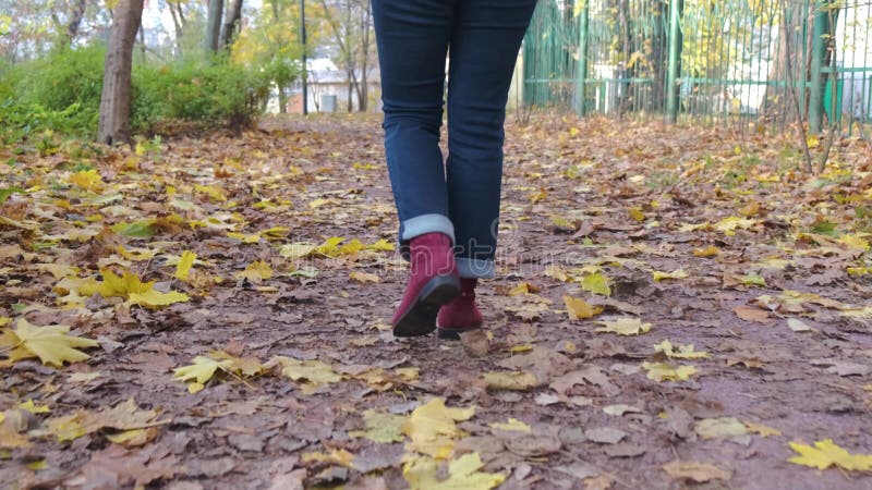 Vrouwelijke benen in blauwe jeans en bogundy laarzen lopen langs het pad in een herfstpark