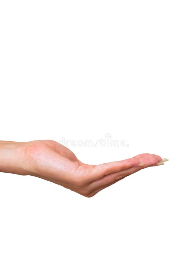 Vrouwelijke hand stock afbeeldingen