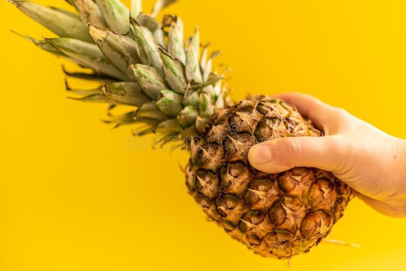 Vrouwelijke hand die rijpe ananas op gele achtergrond houden royalty-vrije stock afbeeldingen Vrouwelijke hand die rijpe ananas op gele achtergrond houden royalty-vrije stock afbeeldingen
