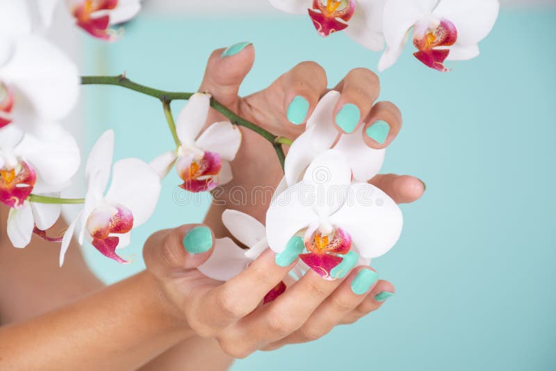 Vrouwelijke hand met een turkooise kleurenmanicure op spijkers en witte die orchideeënbloem op zachte blauwe achtergrond in studi stock afbeeldingen Vrouwelijke hand met een turkooise kleurenmanicure op spijkers en witte die orchideeënbloem op zachte blauwe achtergrond in studi stock afbeeldingen