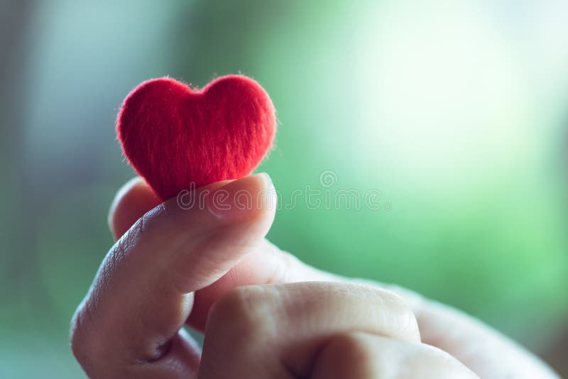 Vrouwelijke handen die een weinig rood hart, de dagconcept houden van Valentine stock afbeelding Vrouwelijke handen die een weinig rood hart, de dagconcept houden van Valentine stock afbeelding