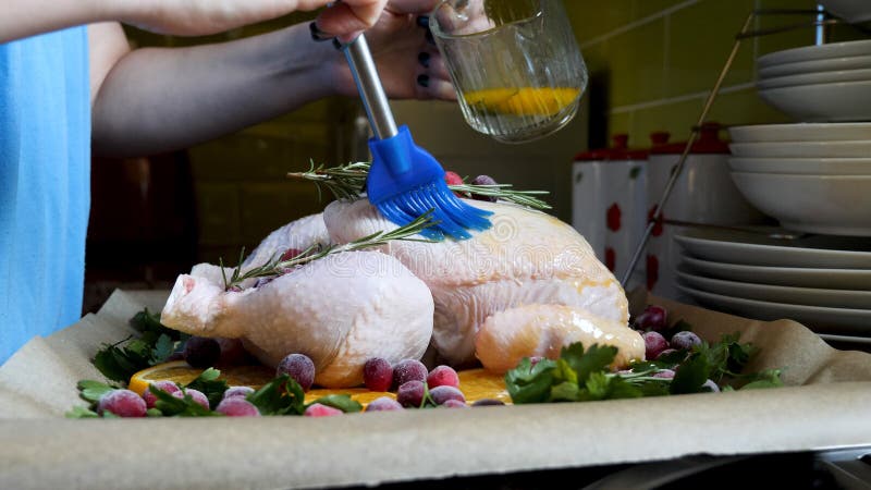 Vrouwelijke Handen die Gehele Ruwe Kip met het Roosteren van Saus in Roosterend Pan With Oranges Cranberries en Kruiden in Oven b stock foto's Vrouwelijke Handen die Gehele Ruwe Kip met het Roosteren van Saus in Roosterend Pan With Oranges Cranberries en Kruiden in Oven b stock foto's