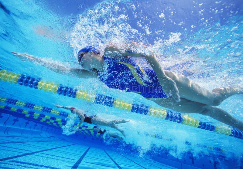 Vrouwelijke professionele deelnemers die in pool rennen stock afbeelding Vrouwelijke professionele deelnemers die in pool rennen stock afbeelding