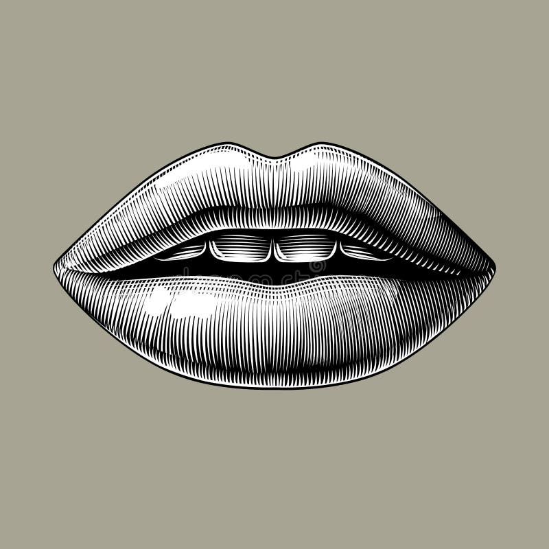 Vrouwelijke sexy lippen royalty-vrije illustratie Vrouwelijke sexy lippen royalty-vrije illustratie