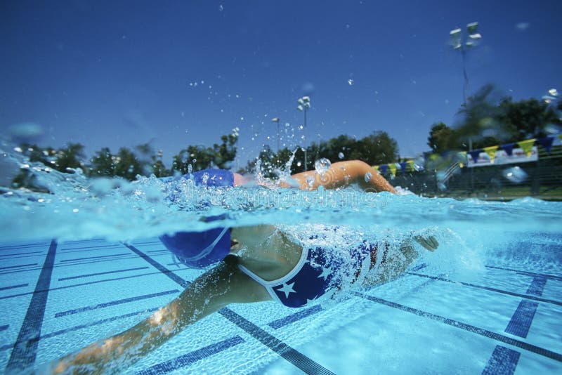 Vrouwelijke Zwemmer Swimming In Pool stock afbeelding Vrouwelijke Zwemmer Swimming In Pool stock afbeelding