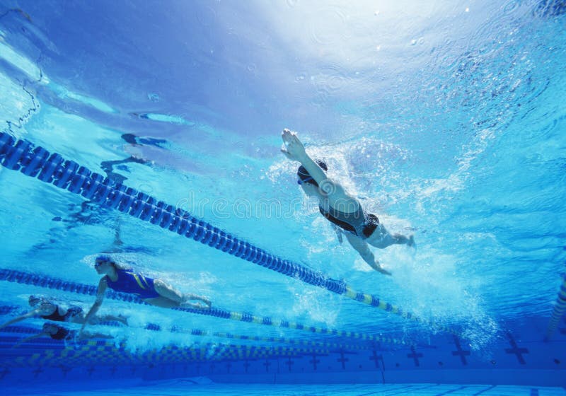 Vrouwelijke zwemmers die in pool zwemmen stock fotografie Vrouwelijke zwemmers die in pool zwemmen stock fotografie
