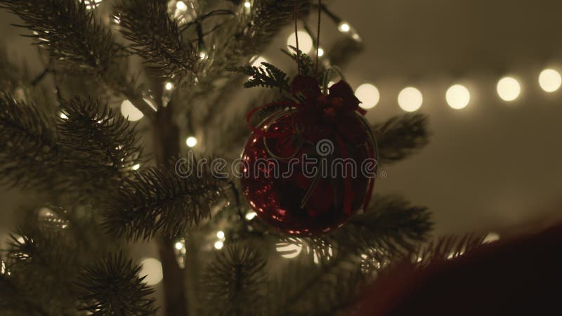 Vrouwen die de kerstboom versieren