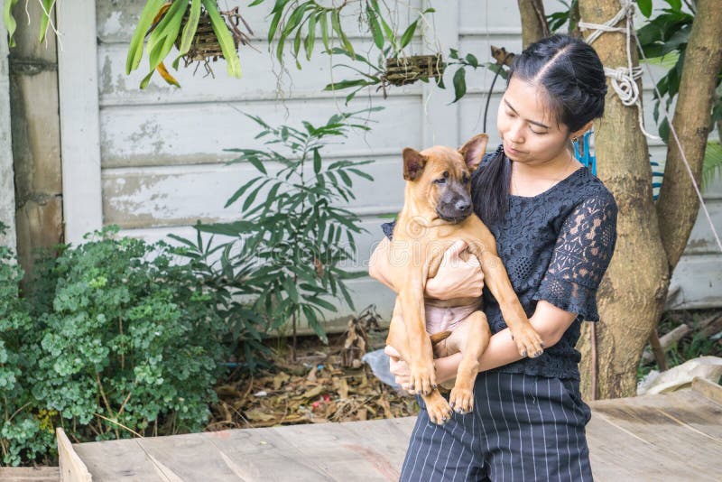 Vrouwen mooie jonge gelukkig met Thaise ridgebackhond in de parkhand die kleine hond houden stock fotografie Vrouwen mooie jonge gelukkig met Thaise ridgebackhond in de parkhand die kleine hond houden stock fotografie