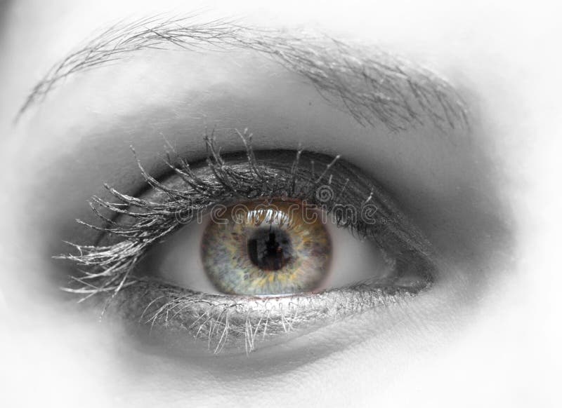 vrouwen oog stock afbeeldingen vrouwen oog stock afbeeldingen