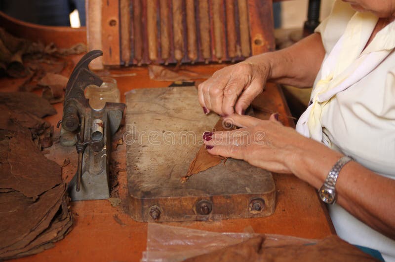 Woman makes and rolls cigars by hand in Trinidad, Cuba. Woman makes and rolls cigars by hand in Trinidad, Cuba