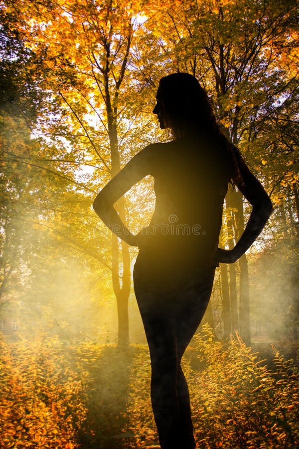 Vrouwensilhouet over de herfst bosachtergrond stock afbeeldingen Vrouwensilhouet over de herfst bosachtergrond stock afbeeldingen
