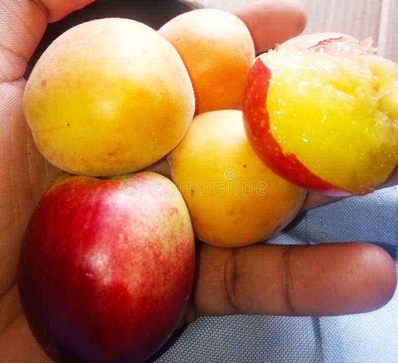 Vruchten, Abrikoos, jujube, perzik, stock fotografie Vruchten, Abrikoos, jujube, perzik, stock fotografie