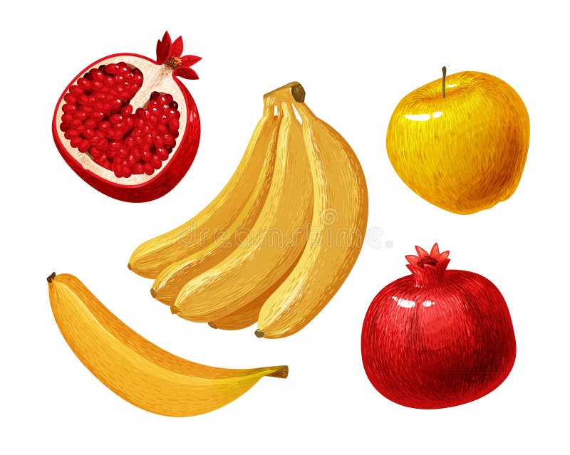 Vruchten zoals banaan, appel, granaatappel Vector illustratie royalty-vrije illustratie Vruchten zoals banaan, appel, granaatappel Vector illustratie royalty-vrije illustratie