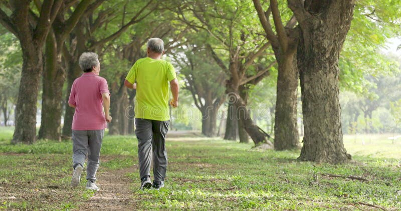 Vue arrière d'un couple senior faisant du jogging dans le parc clips vidéos