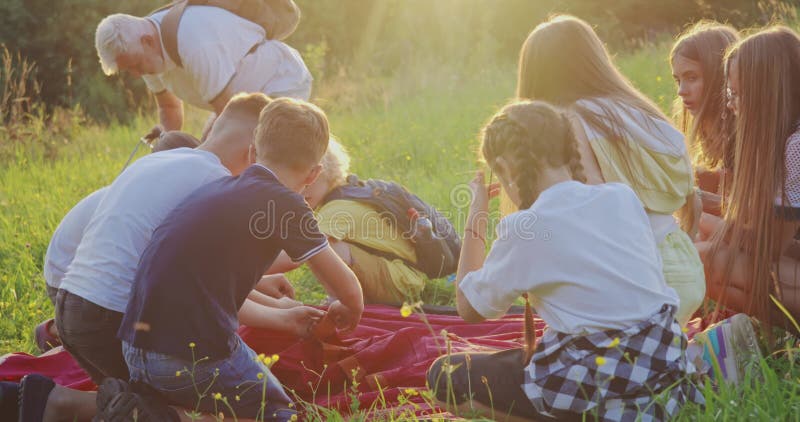 Vue arrière d'un groupe d'enfants assis dans l'herbe travaillant ensemble à monter une tente rouge vieil homme aidant à tenir des banque de vidéos