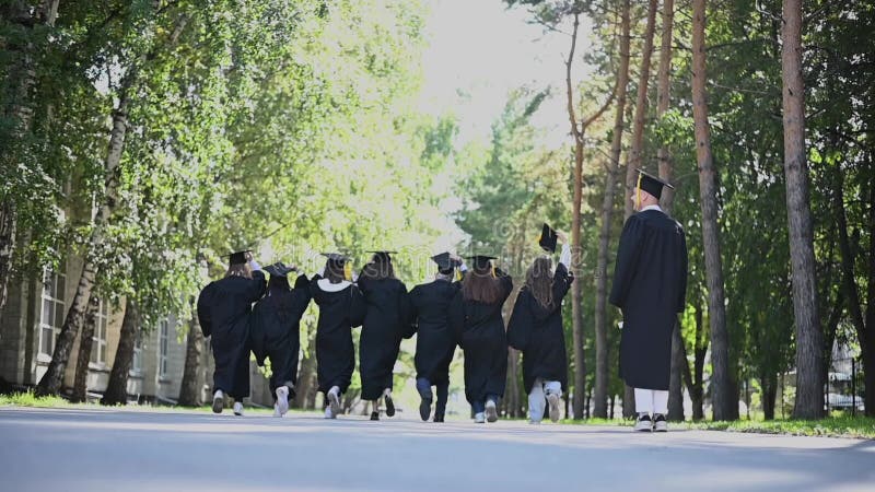 Vue arrière d'un groupe d'étudiants heureux en robe jetant des casquettes académiques dans l'air. mouvement lent. banque de vidéos