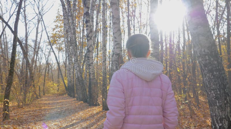Vue arrière d'une jeune femme marchant dans le parc d'automne steadicam shot banque de vidéos