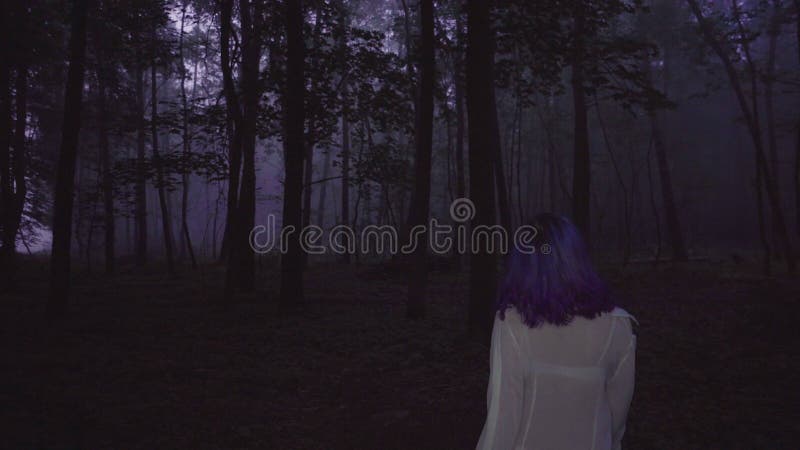 Vue arrière de la belle femme dans la chemise blanche et les cheveux pourpres marchant dans la forêt foncée - scène de thriller banque de vidéos