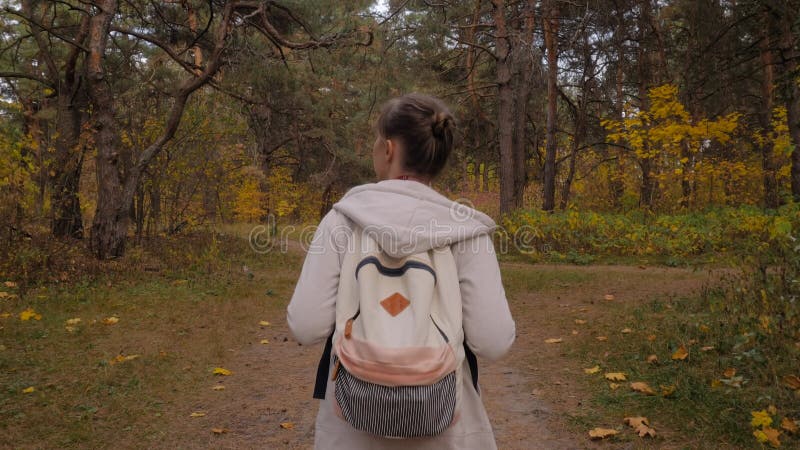 Vue arrière de la jeune femme avec sac à dos marche en automne parc steadicam shot banque de vidéos