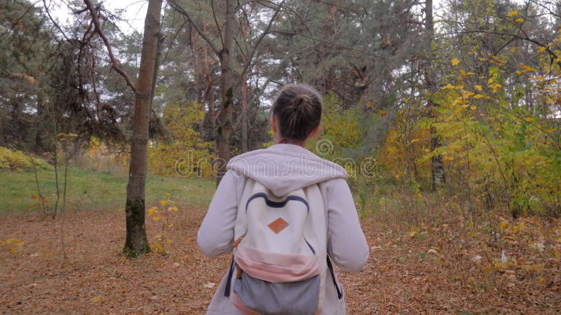 Vue arrière de la jeune femme avec sac à dos marche en automne parc steadicam shot banque de vidéos