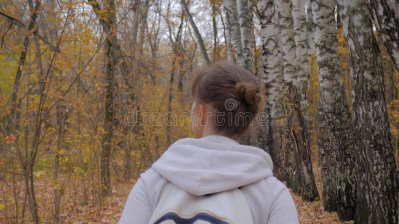 Vue arrière de la jeune femme avec sac à dos marche en automne parc steadicam shot banque de vidéos