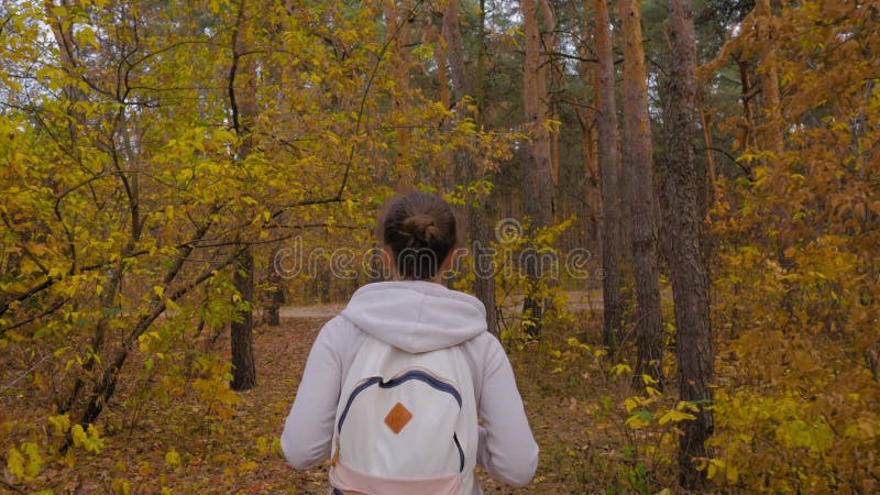 Vue arrière jeune femme avec sac à dos marche en automne parc steadicam shot clips vidéos