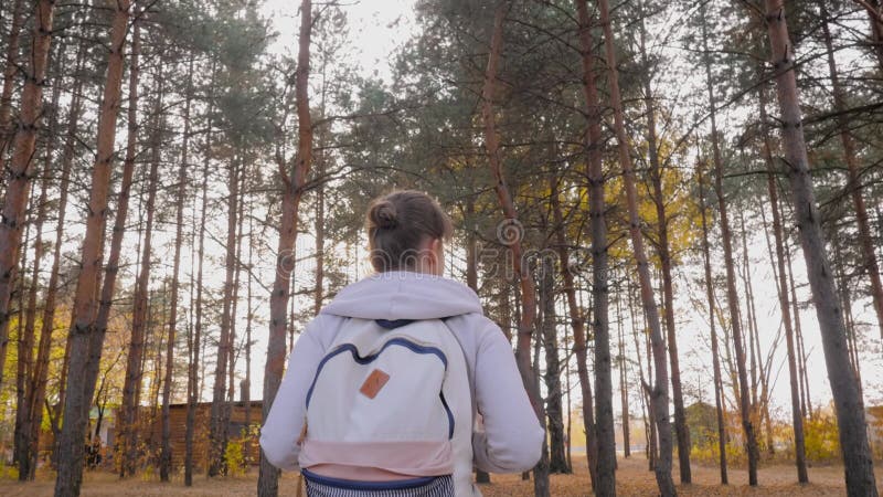 Vue arrière jeune femme avec sac à dos marche en automne parc steadicam shot banque de vidéos
