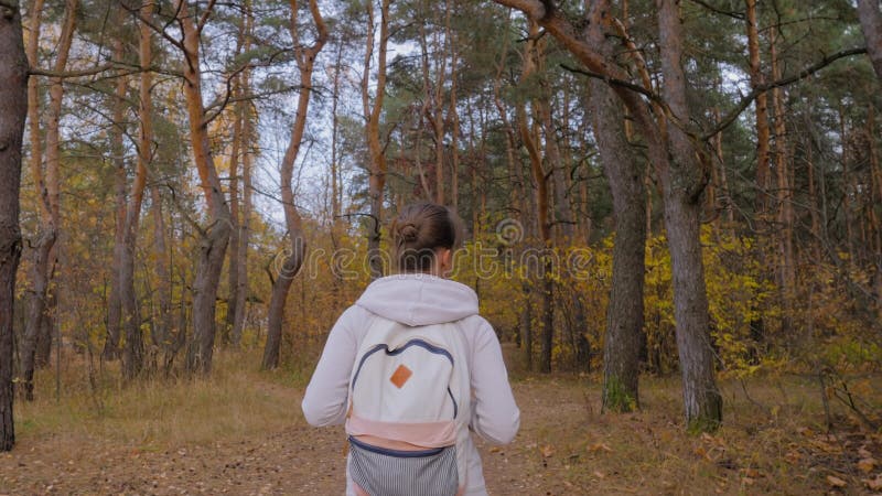 Vue arrière jeune femme avec sac à dos marche en automne parc steadicam shot banque de vidéos