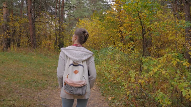 Vue arrière jeune femme avec sac à dos marche en automne parc steadicam shot banque de vidéos