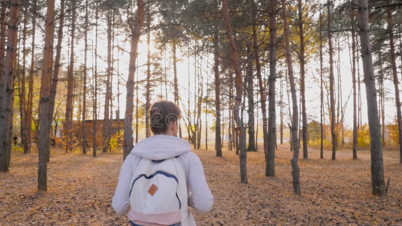Vue arrière jeune femme avec sac à dos marche en automne parc steadicam shot banque de vidéos