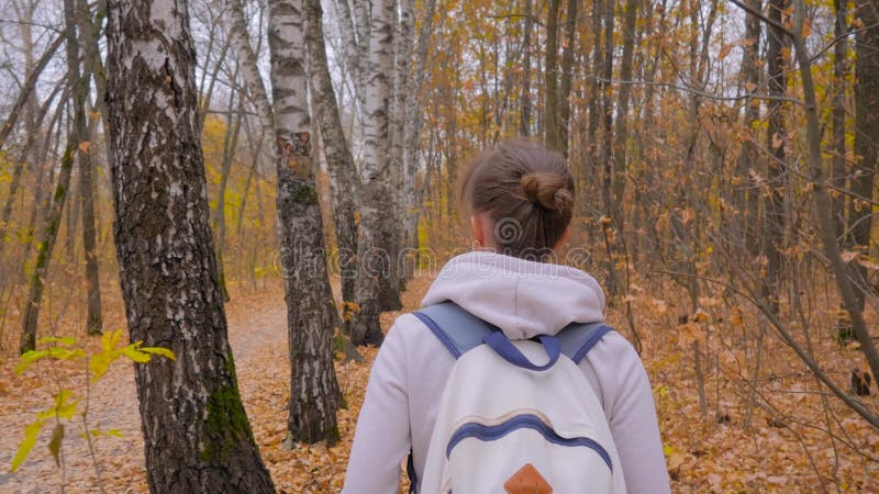 Vue arrière jeune femme avec sac à dos marche en automne parc steadicam shot banque de vidéos