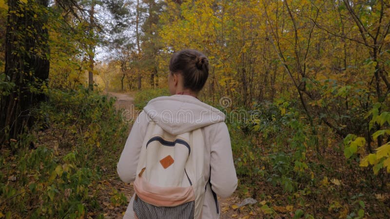 Vue arrière jeune femme avec sac à dos marche en automne parc steadicam shot banque de vidéos