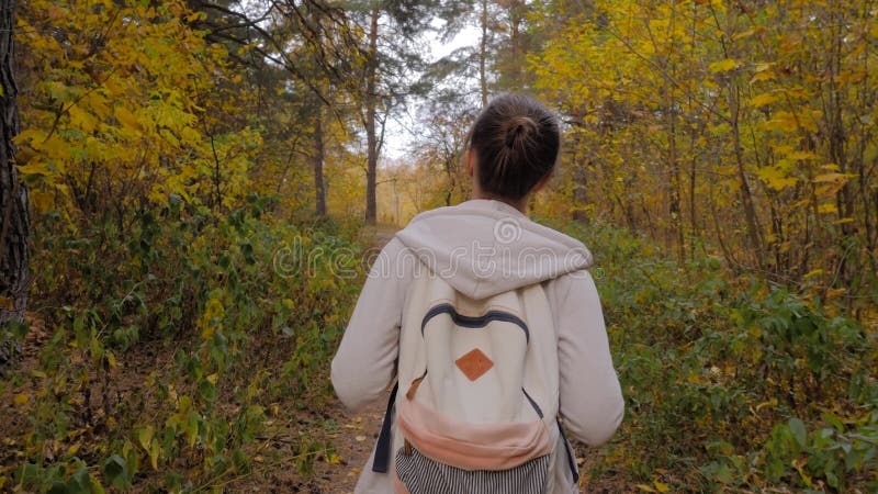 Vue arrière jeune femme avec sac à dos marche en automne parc steadicam shot clips vidéos