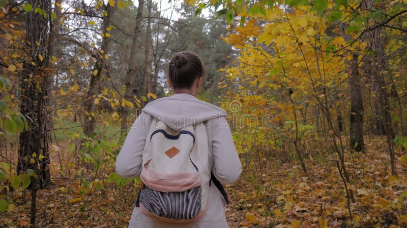 Vue arrière jeune femme avec sac à dos marche en automne parc steadicam shot banque de vidéos