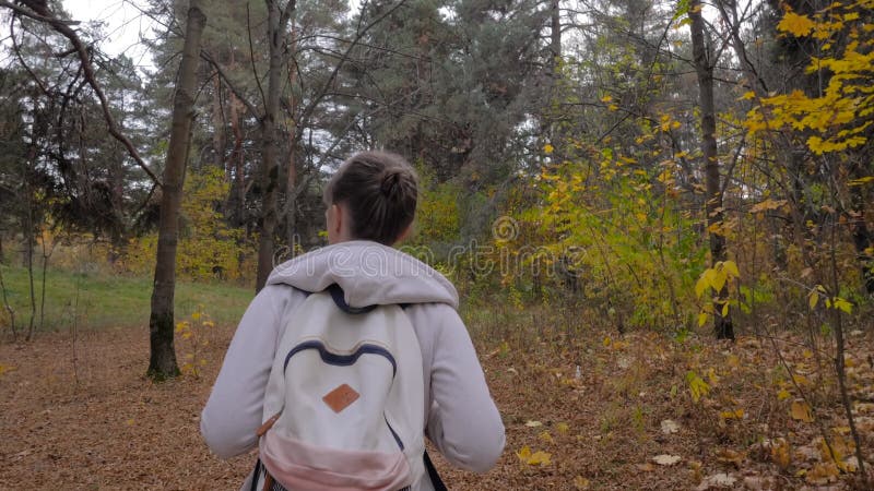 Vue arrière jeune femme avec sac à dos marche en automne parc steadicam shot banque de vidéos