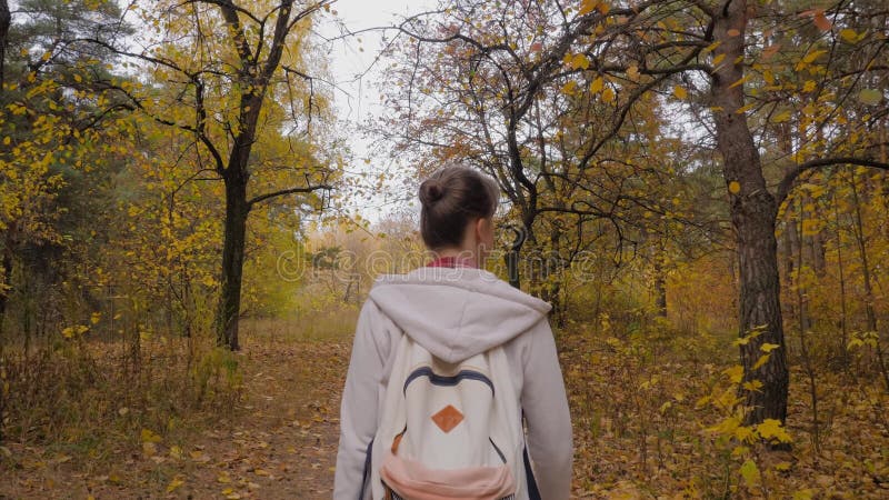 Vue arrière jeune femme avec sac à dos marche en automne parc steadicam shot banque de vidéos