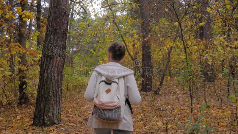 Vue arrière jeune femme avec sac à dos marche en automne parc steadicam shot banque de vidéos