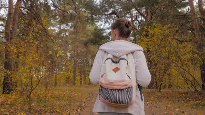 Vue arrière jeune femme avec sac à dos marche en automne parc steadicam shot clips vidéos