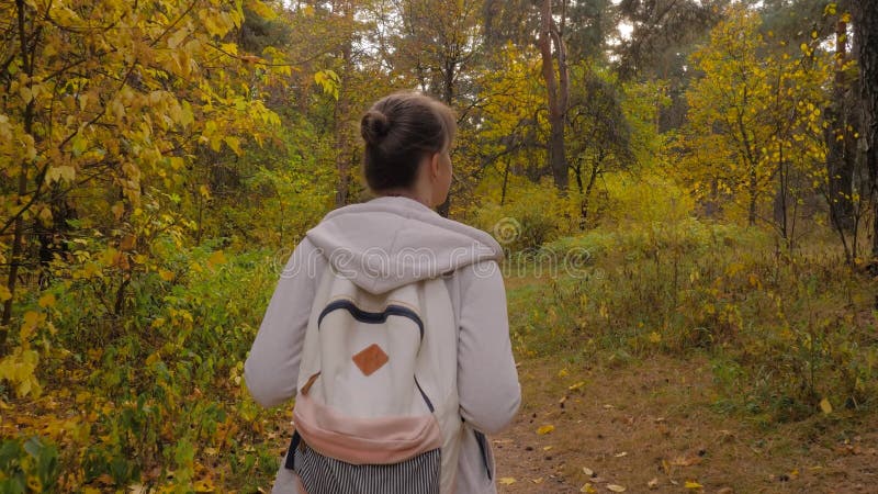 Vue arrière jeune femme avec sac à dos marche en automne parc steadicam shot banque de vidéos