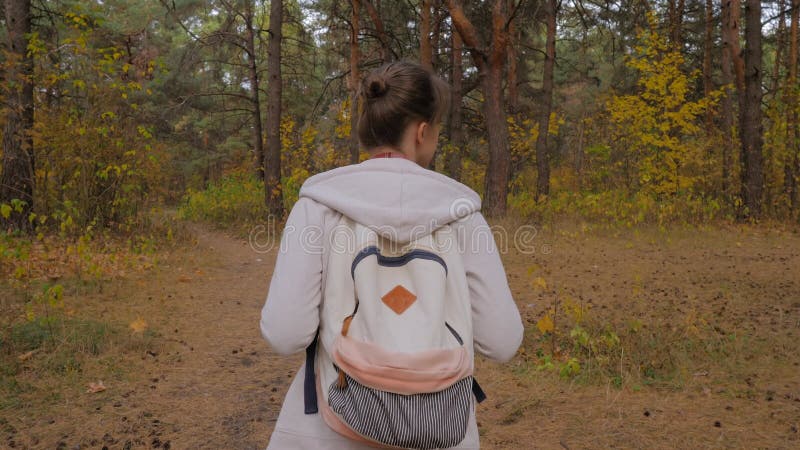 Vue arrière jeune femme avec sac à dos marche en automne parc steadicam shot banque de vidéos